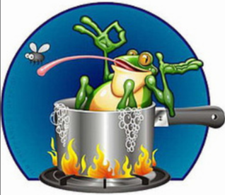 frog in the pan pic