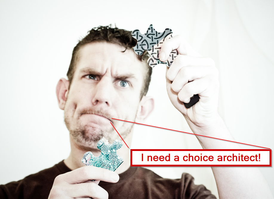 choice architect