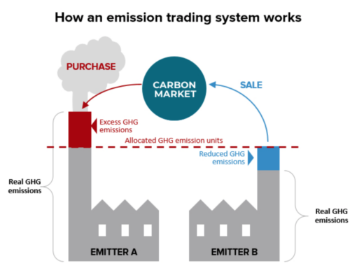 An Introduction to Investing in Carbon Markets